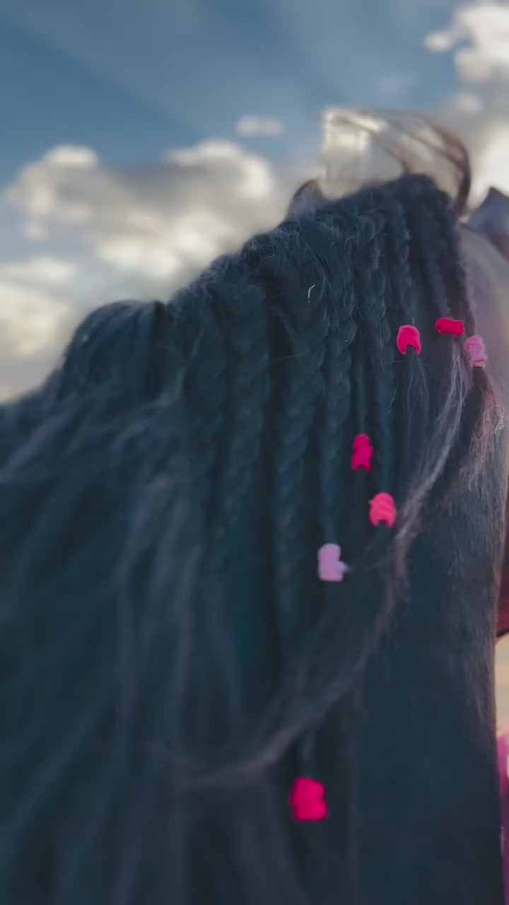 QADIM Asil washed hoodie in rose, calligraphy horse back print in motion